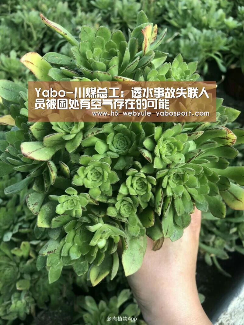 亚博娱乐