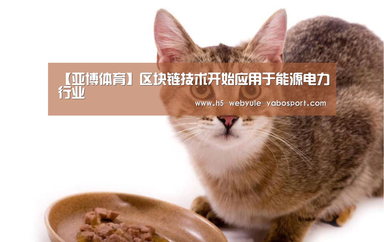 【亚博体育】区块链技术开始应用于能源电力行业(图4) 亚博首页