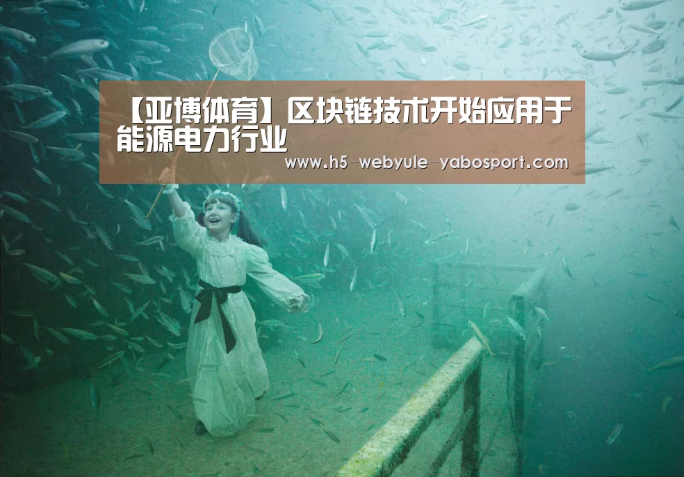 【亚博体育】区块链技术开始应用于能源电力行业(图2) 亚博娱乐