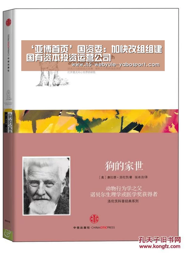 ‘亚博首页’国资委:加快改组组建国有资本投资运营公司(图2) 亚博娱乐