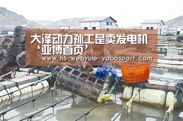 大泽动力孙工是卖发电机‘亚博首页’(图2) 亚博娱乐