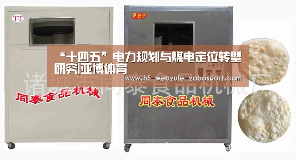 “十四五”电力规划与煤电定位转型研究|亚博体育(图2) 亚博娱乐